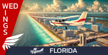 Wednesday Wings - Florida Wednesday Wings - Florida
