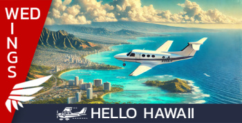 Wednesday Wings - Hello Hawaii Wednesday Wings - Hello Hawaii