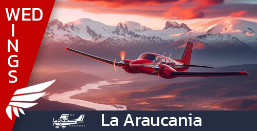Wednesday Wings - La Araucania Wednesday Wings - La Araucania