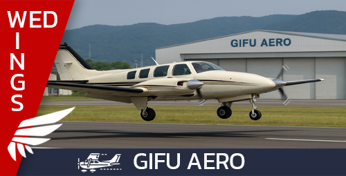 Wednesday Wings - Gifu Aero