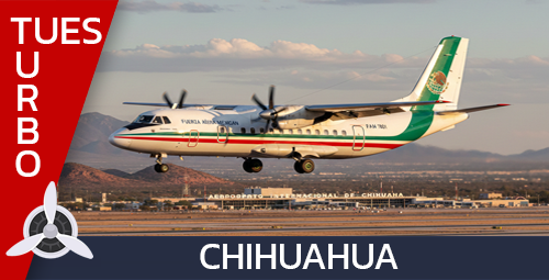 Turbo Tuesdays - Chihuahua awarded on 2026-02-25