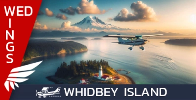 NEW EVENT - Wednesday Wings
